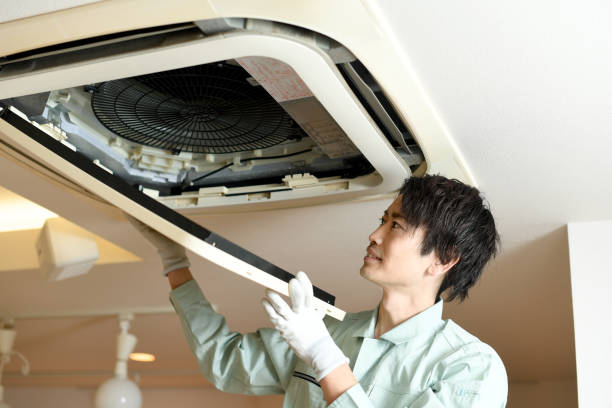 Best Local Air Duct Cleaning Services  in Easton, PA