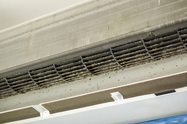 Best HVAC Duct Inspection Services  in Easton, PA